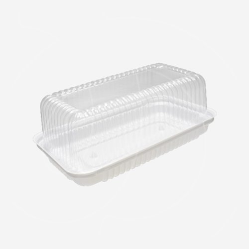 Контейнер пластиковый с крышкой 25х14х8 см 