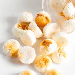 Манго сублимированный Шарики в йогурте 1 кг 00038