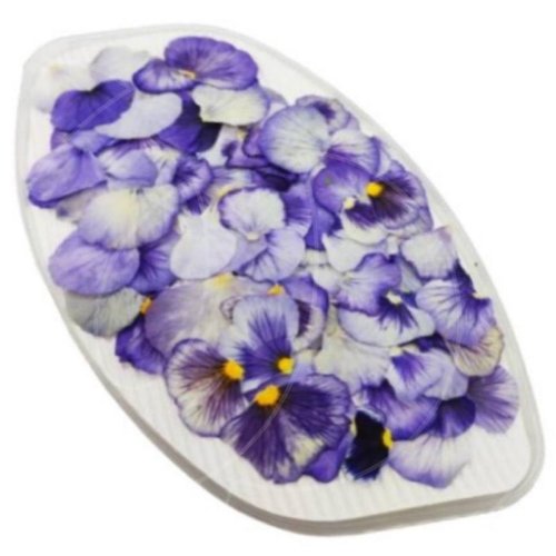 Лепестки виолы обезвоженной "Сиреневый туман" 100 шт 