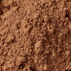 Какао-порошок алкализованный обезжиренный 10-12% Россия 80 г 